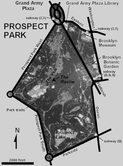 site map