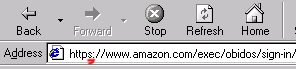 The address bar with SSL on.
