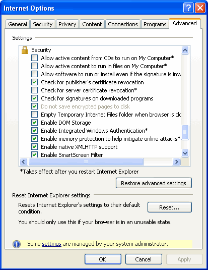 Internet Explorer security options